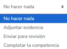 Opciones de competencias